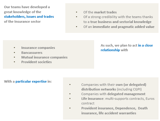 operational strategy support